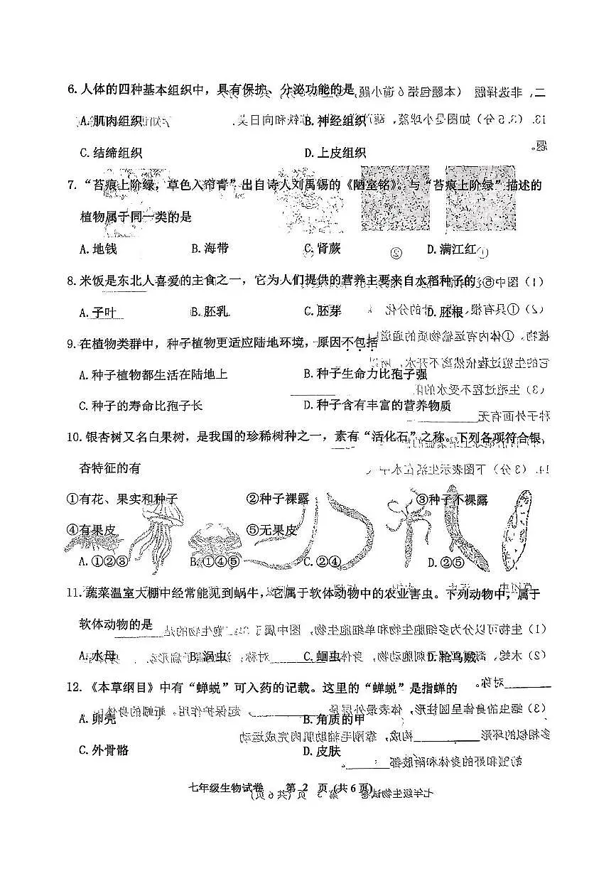 辽宁省铁岭市铁岭县2025-2026学年七年级上学期11月期中生物试题第2页