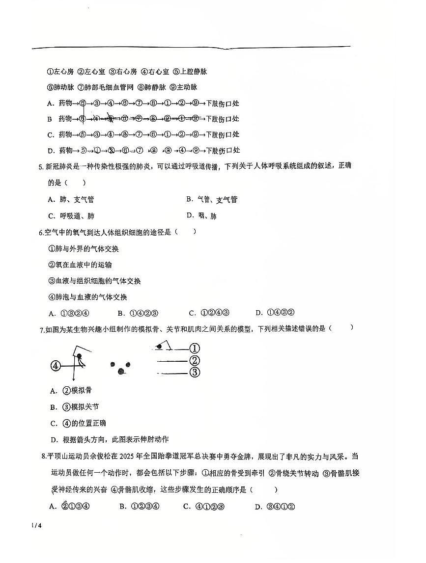 辽宁省沈阳市沈阳市第一二六中学教育集团2025-2026学年八年级上学期生物期中试卷第2页