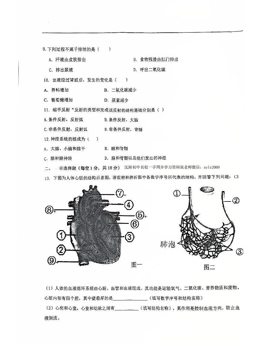 辽宁省沈阳市沈阳市第一二六中学教育集团2025-2026学年八年级上学期生物期中试卷第3页