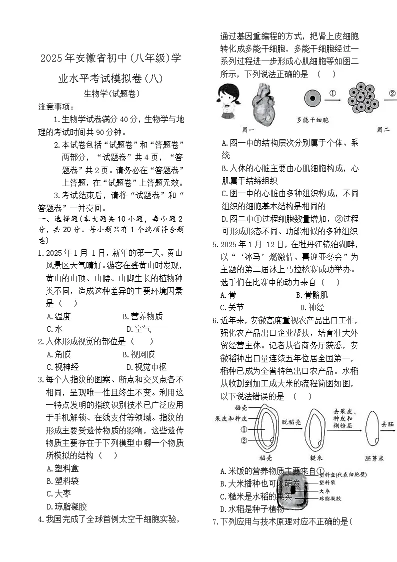 2025年安徽省初中学业水平考试八年级生物模拟卷(二)-A4第1页