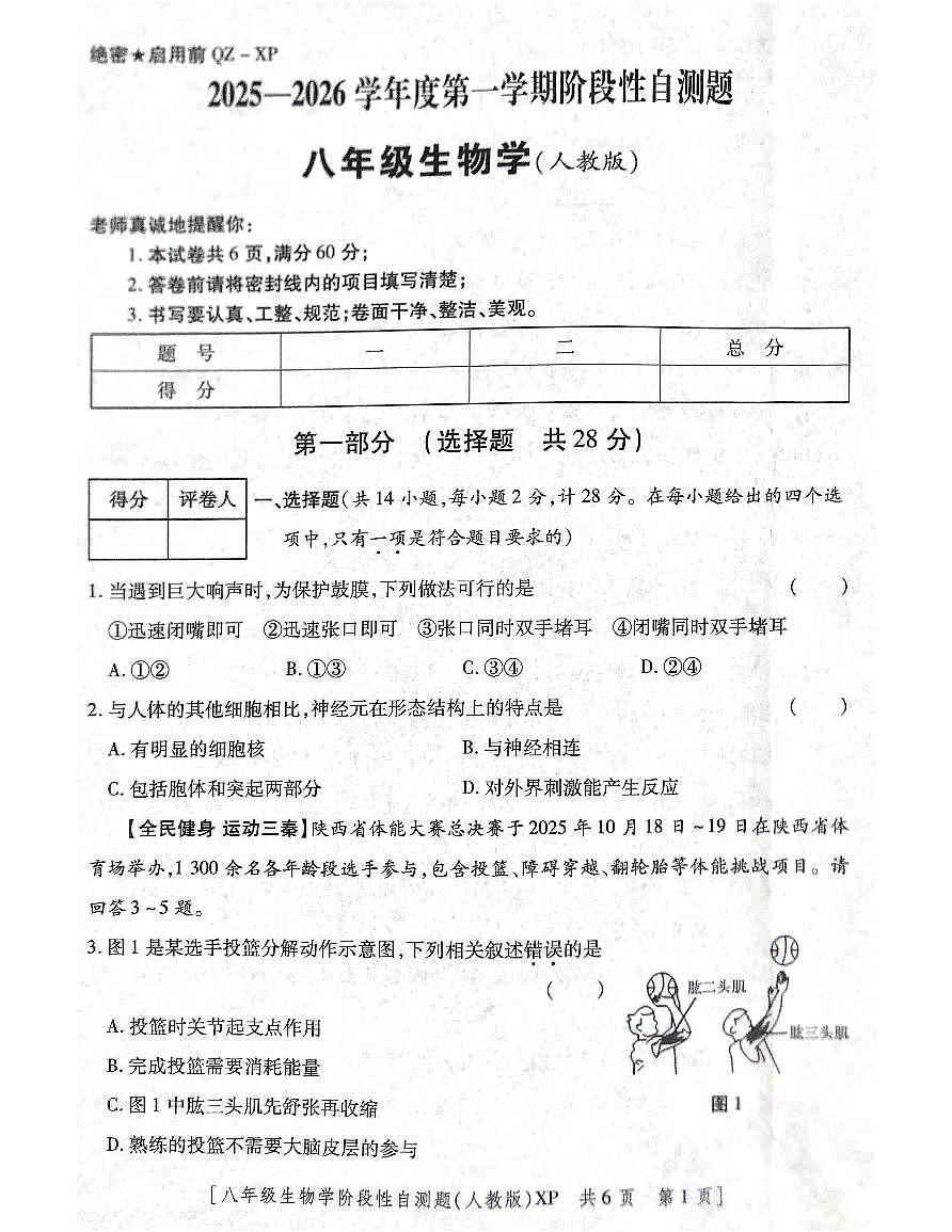 陕西省咸阳市兴平市2025-2026学年八年级上学期11月期中生物试题第1页