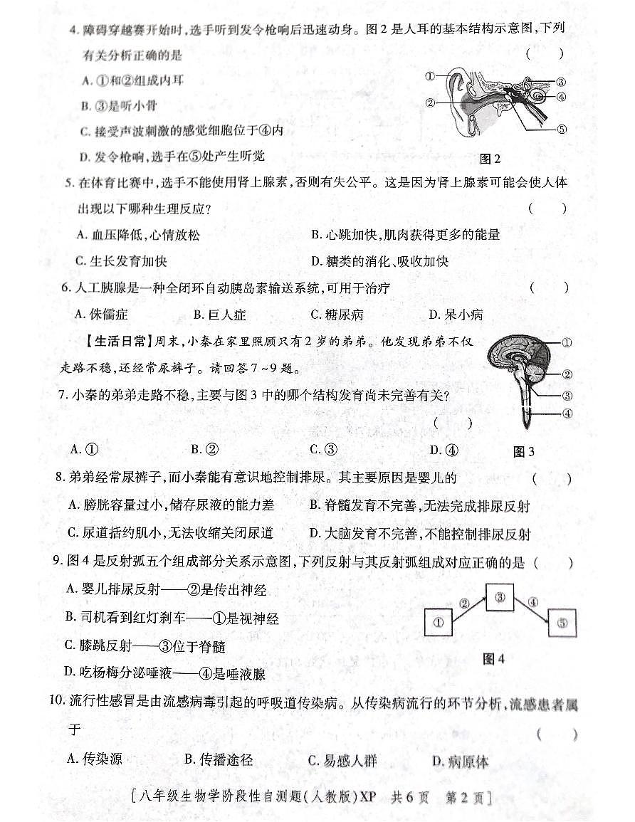 陕西省咸阳市兴平市2025-2026学年八年级上学期11月期中生物试题第2页