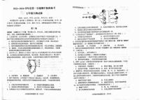 山东省济宁市汶上县2025-2026学年七年级上学期期中考试生物试题