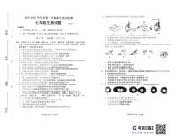 山东省潍坊市2025-2026学年七年级上学期11月期中生物试题