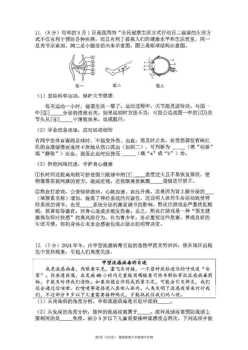 8上25年期中荆楚联盟生物试卷及答案第3页