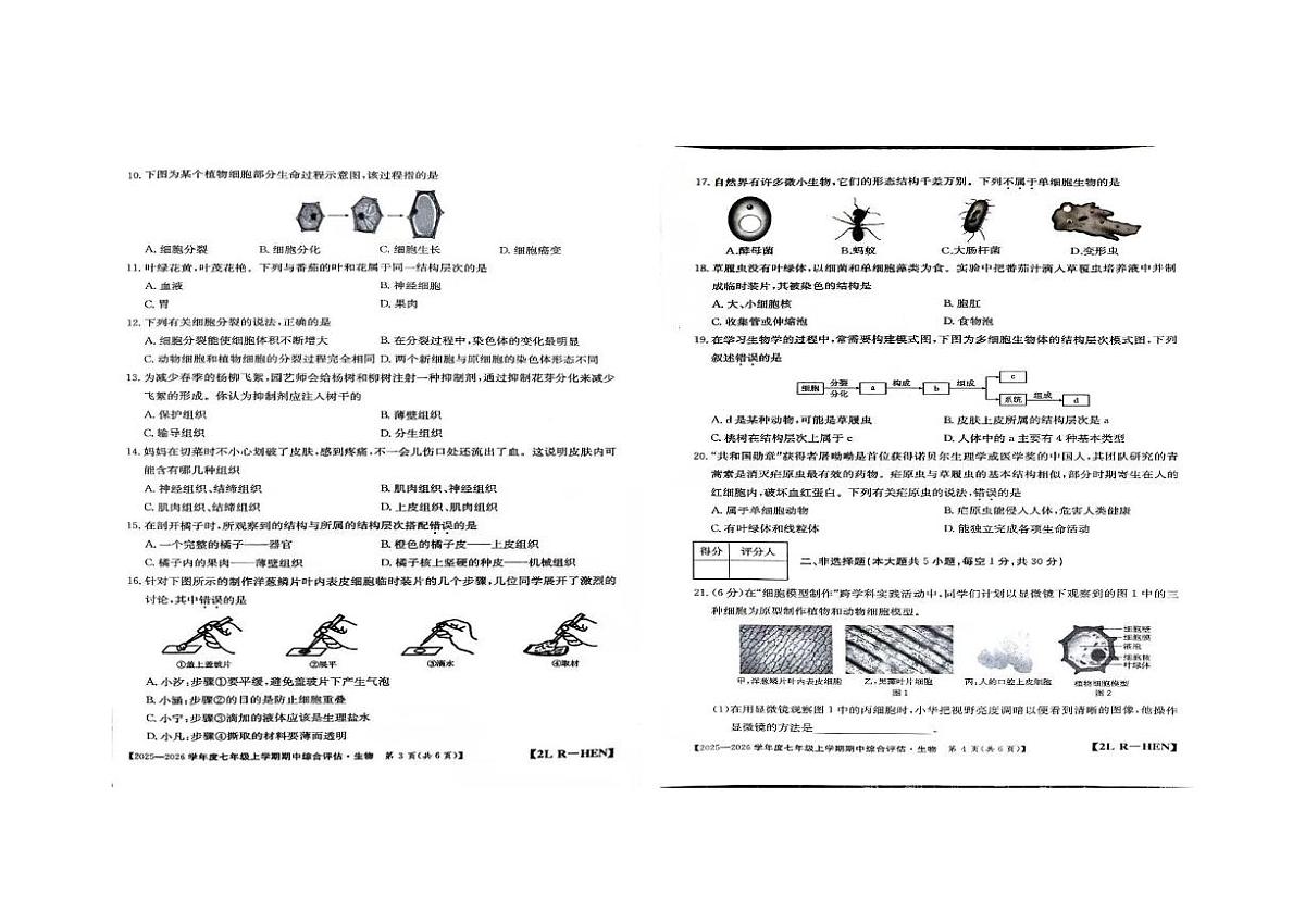河南省周口市商水县2025-2026学年七年级上学期11月期中考试生物试题第2页