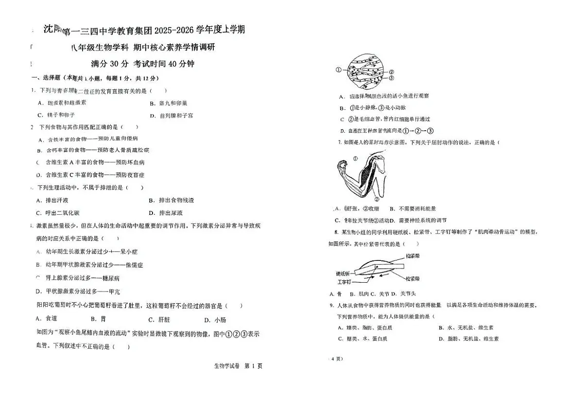 辽宁省沈阳市一三四中学2025-2026学年八年级上学期生物期中试题第1页