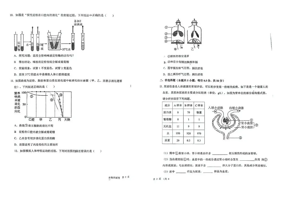 辽宁省沈阳市一三四中学2025-2026学年八年级上学期生物期中试题第2页
