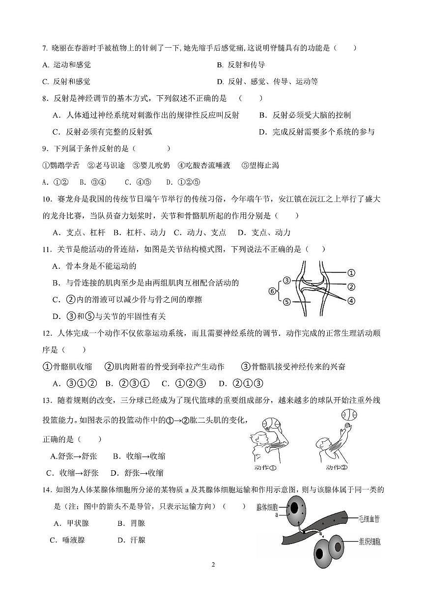2025-2026学年度湖南省怀化市洪江市四校联合期中质量监测八年级上学期生物试题、答案解析 2025-2026学年度湖南省怀化市洪江市四校联合期中质量监测八年级上学期生物试题第2页