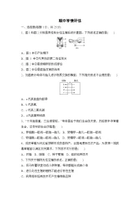 2026年春冀少版八年级生物下册 期中学情评估卷(含答案)