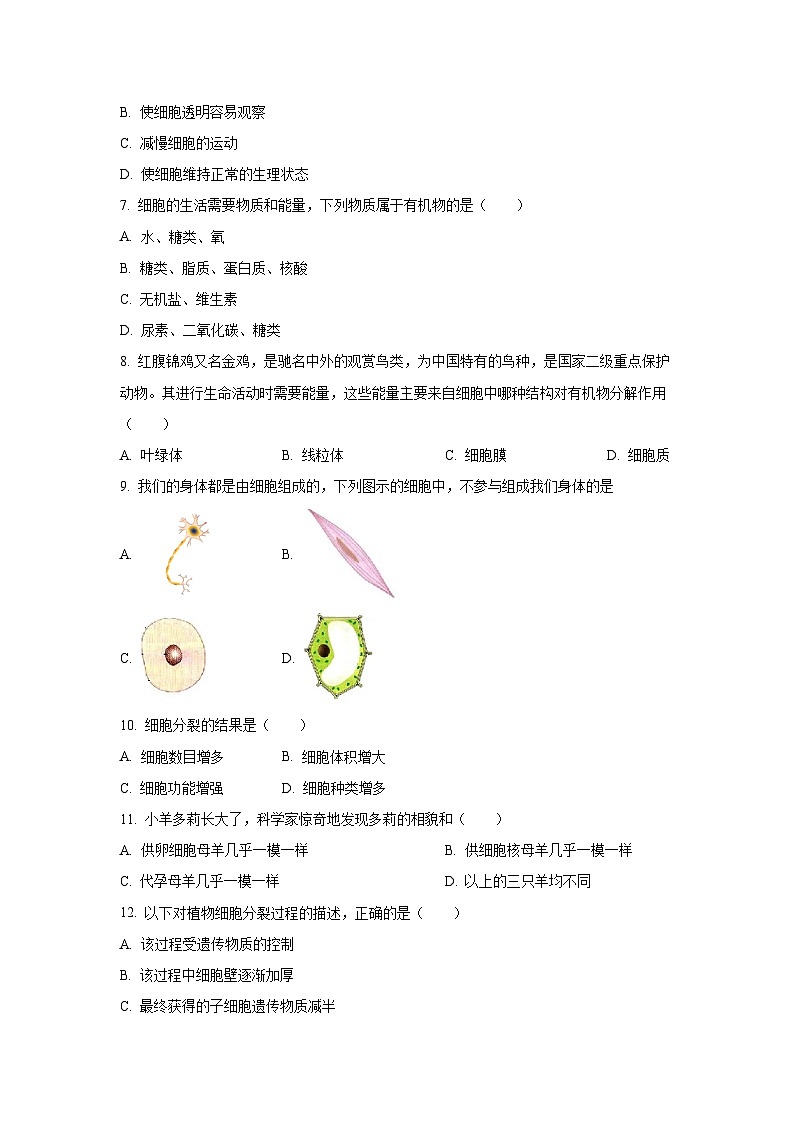 天津市河北区2024-2025学年七年级上学期期中生物试卷(学生版)第2页