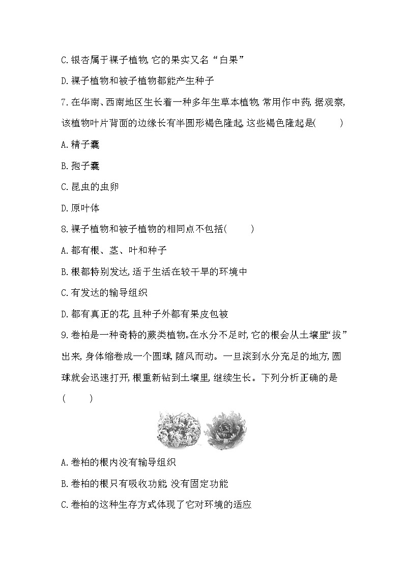 第一章综合评价卷第3页