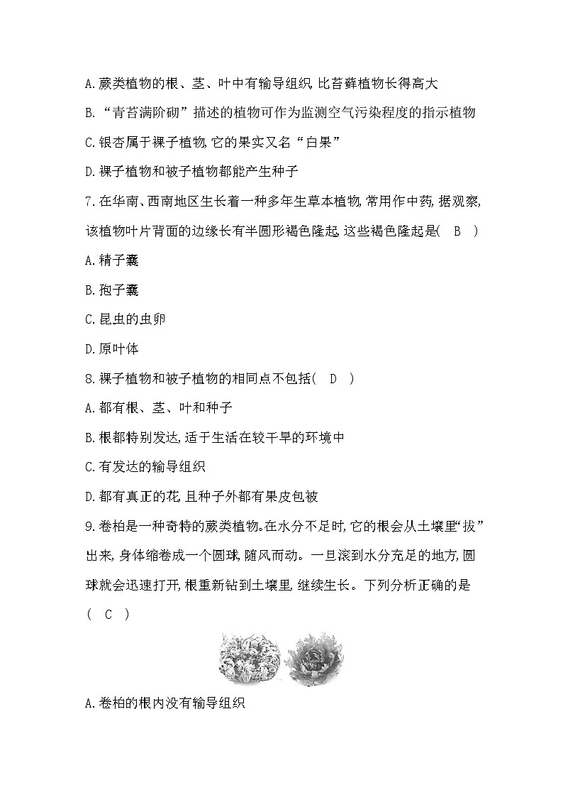 第一章综合评价卷答案第3页
