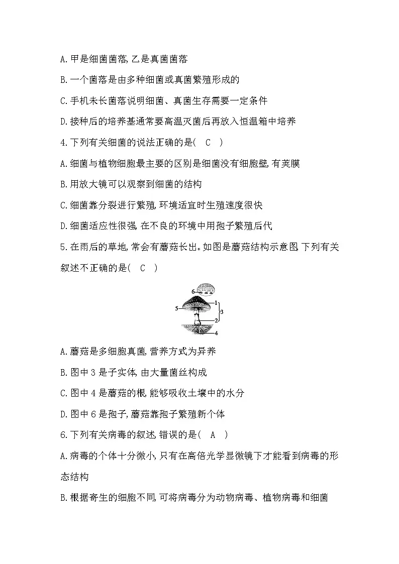 第三章综合评价卷答案第2页
