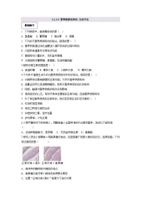 冀少版（2024）七年级下册（2024）营养物质的吸收精品当堂达标检测题