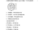 冀少版（2024）七年级下册（2024）血液优秀同步测试题
