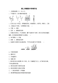 第二学期期中学情评估试卷（含答案）2025-2026学年人教版生物八年级下册