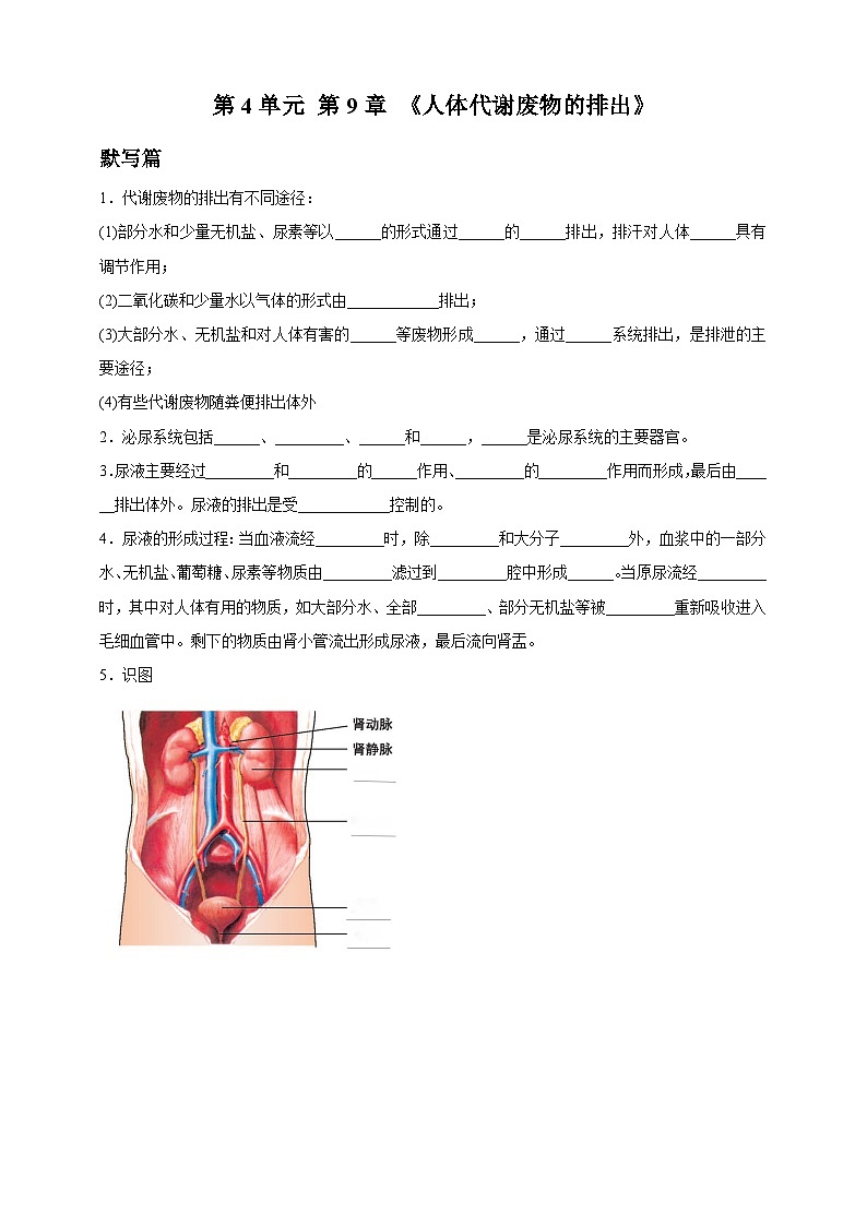 4.9 人体代谢废物的排出 知识清单--北师大版初中生物七下(含答案)第1页