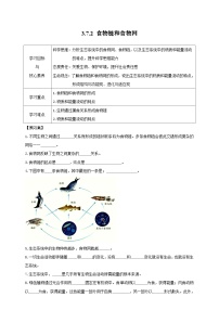 苏教版（2024）七年级下册（2024）食物链和食物网优秀学案设计