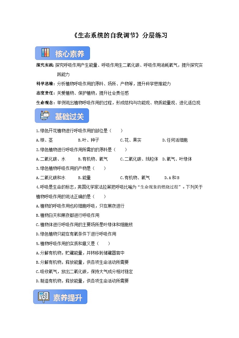 苏教版初中生物七下 4.11.2植物的呼吸作用 分层练习(含答案)第1页