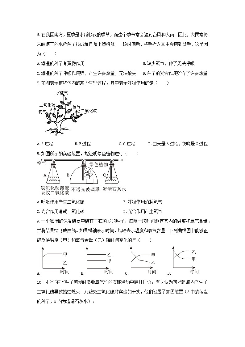 苏教版初中生物七下 4.11.2植物的呼吸作用 分层练习(含答案)第2页