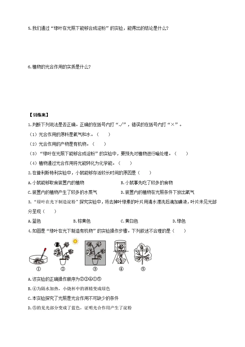 苏教版初中生物七下 4.11.1 植物的光合作用 导学案(含答案)第3页