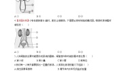 冀少版（2024）七年级下册（2024）泌尿系统与废物排出优秀单元测试练习
