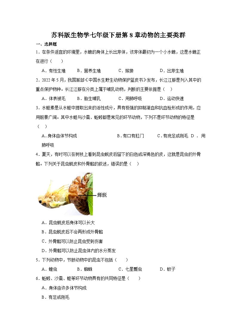 苏科版初中生物七下 4.8 动物的主要类群 测试题(含答案)第1页