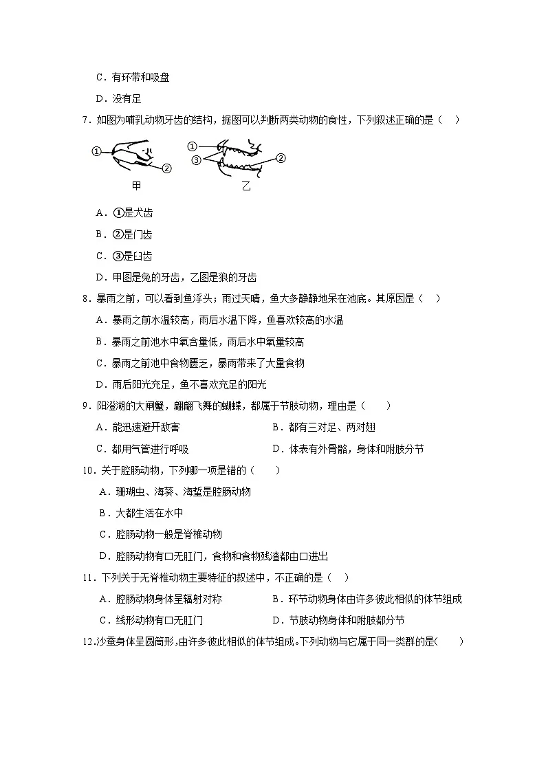苏科版初中生物七下 4.8 动物的主要类群 测试题(含答案)第2页