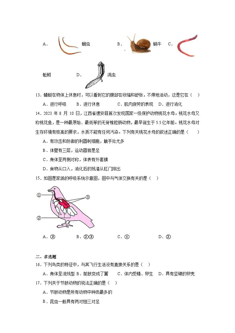 苏科版初中生物七下 4.8 动物的主要类群 测试题(含答案)第3页
