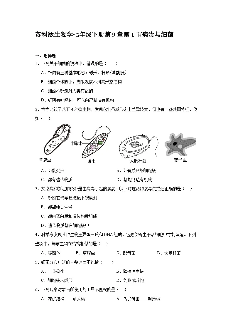 苏科版初中生物七下 4.9.1病毒与细菌 同步练习(含答案)第1页