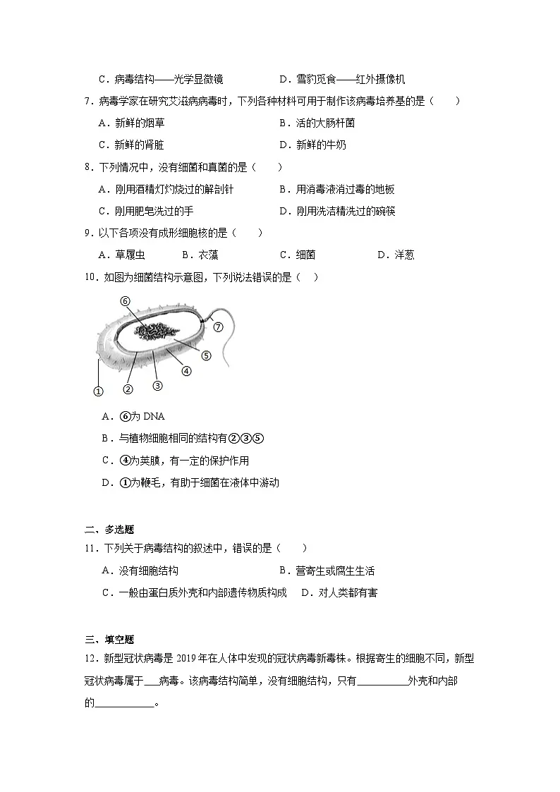 苏科版初中生物七下 4.9.1病毒与细菌 同步练习(含答案)第2页