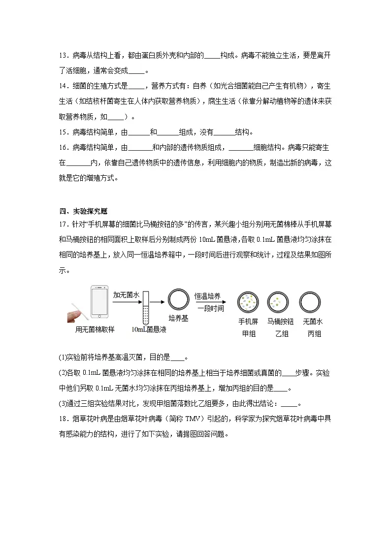 苏科版初中生物七下 4.9.1病毒与细菌 同步练习(含答案)第3页
