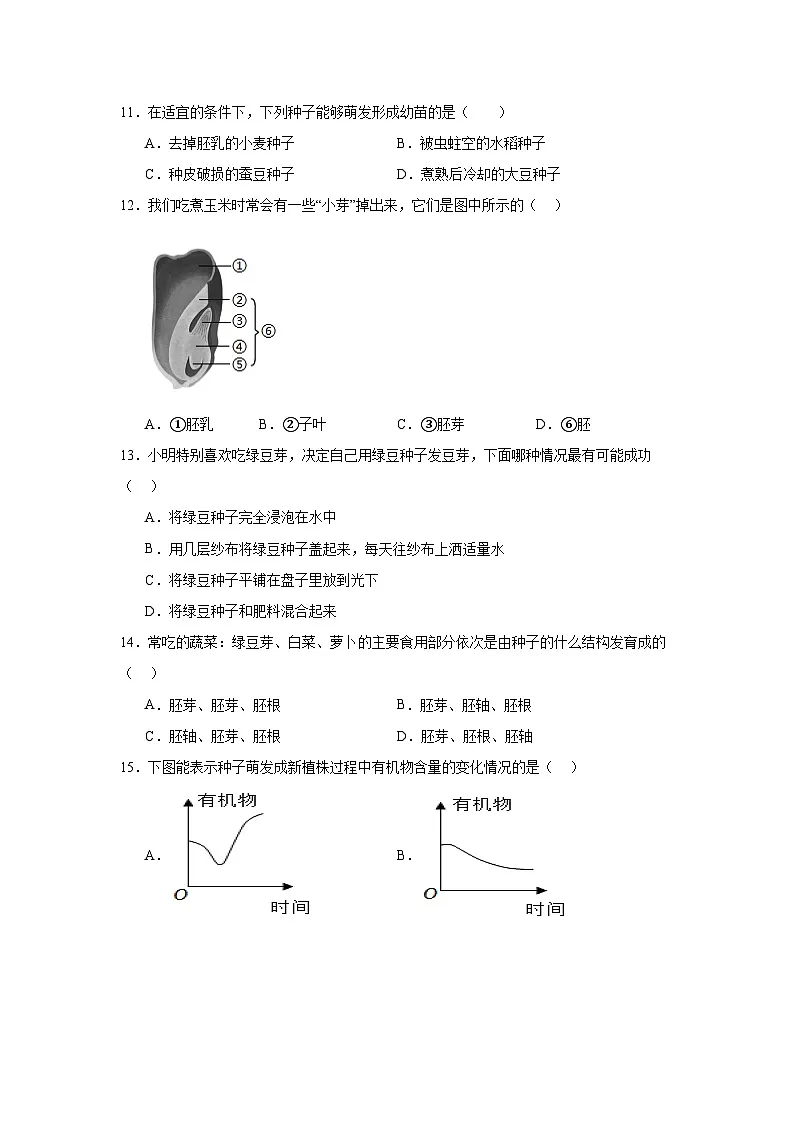 苏科版初中生物七下 5.11.1种子的萌发 同步练习(含答案)第2页