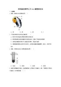 生物七年级下册（2024）植物的生长优秀当堂检测题