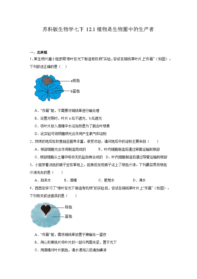 苏科版初中生物七下 5.12.1植物是生物圈中的生产者 同步练习(含答案)第1页