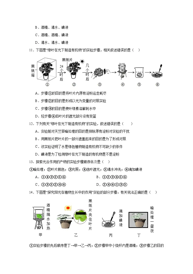 苏科版初中生物七下 5.12.1植物是生物圈中的生产者 同步练习(含答案)第3页