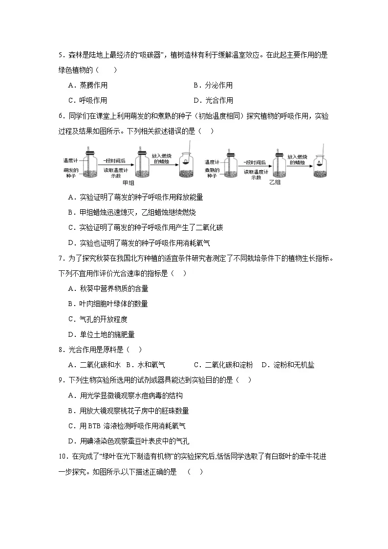 苏科版初中生物七下 5.12.2植物维持生物圈中的碳氧平衡 同步练习(含答案)第2页