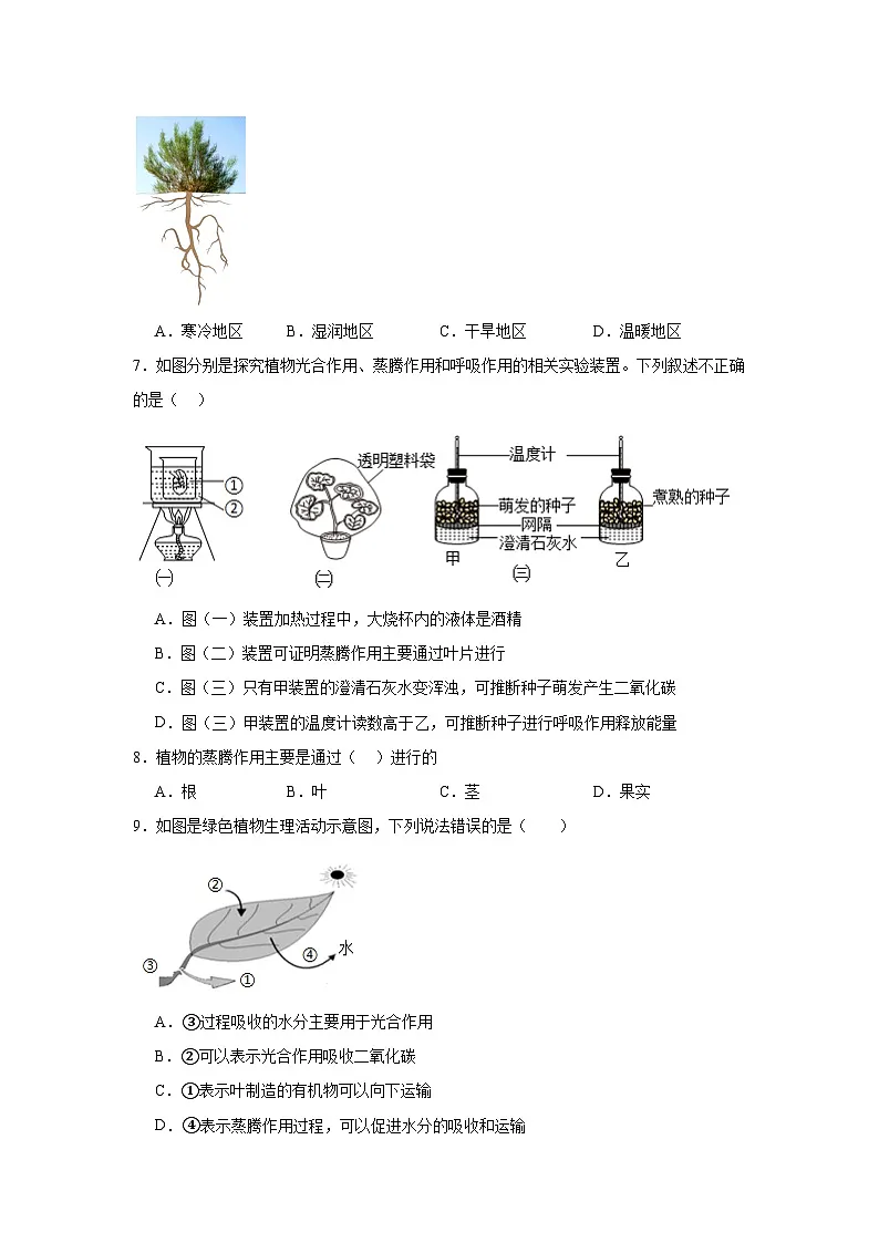 苏科版初中生物七下 5.12.3植物参与生物圈中的水循环 同步练习(含答案)第2页
