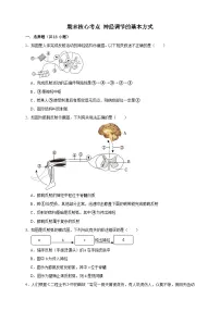 【期末核心考点】神经调节的基本方式 练习（含解析）-北京版初中生物七年级下册