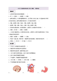 生物北师大版（2024）尿的形成与排出精品第一课时当堂检测题