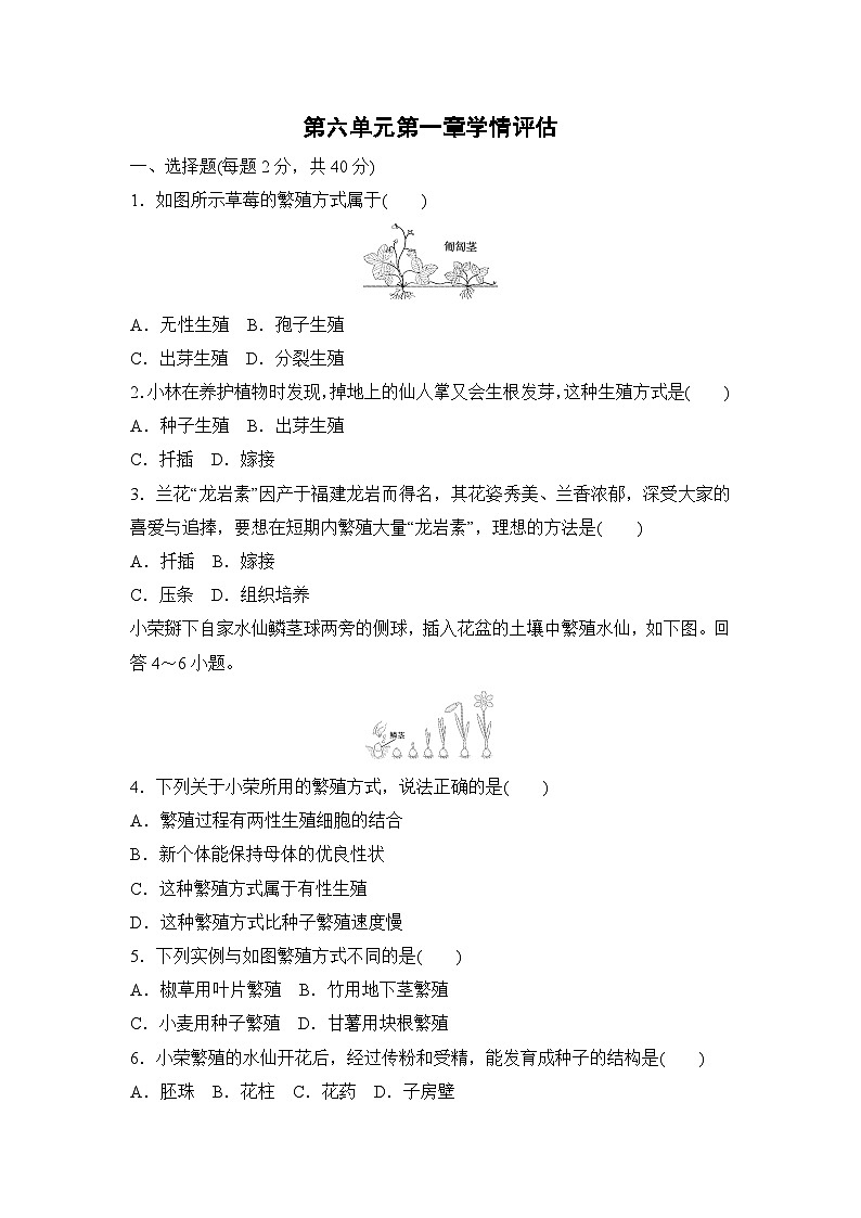 6.1 第一章 生物的生殖 学情评估试卷(含答案)2025-2026学年人教版生物八年级下册第1页