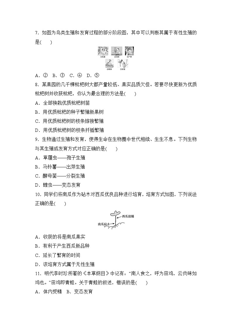 6.1 第一章 生物的生殖 学情评估试卷(含答案)2025-2026学年人教版生物八年级下册第2页