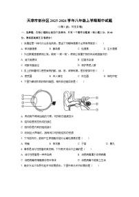 天津市部分区2025-2026学年八年级上学期期中生物试题（学生版）