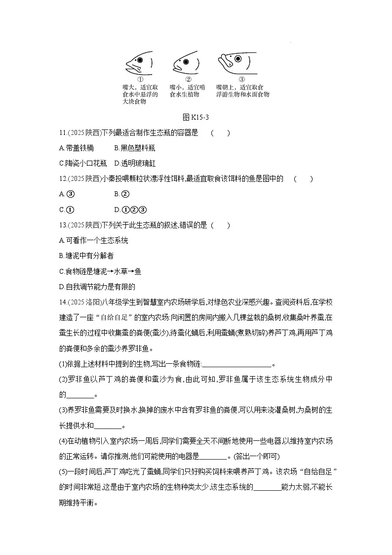 2026年福建省中考生物学一轮复习专题练习:生态系统和生态安全第3页