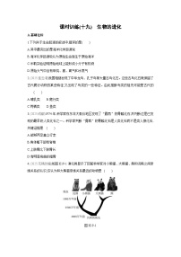 2026年福建省中考生物学一轮复习专题练习：生物的进化