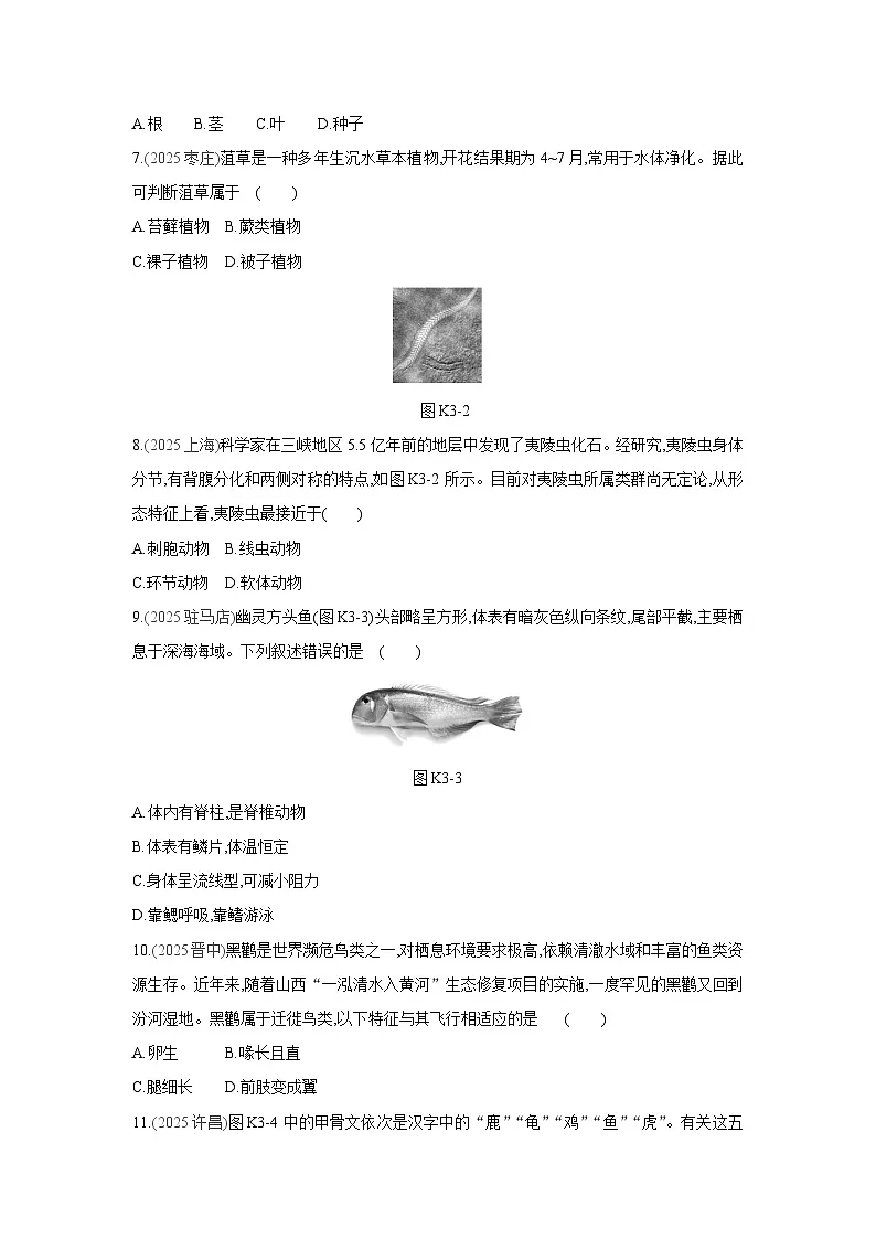 2026年福建省中考生物学一轮复习专题练习:生物的分类及其主要类群第2页