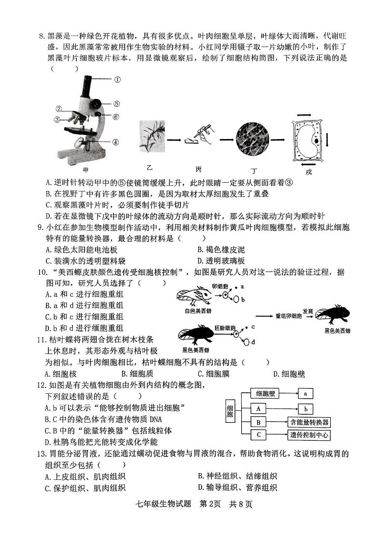 山东省日照市东港区2024-2025学年七年级上学期1月期末生物试题第2页