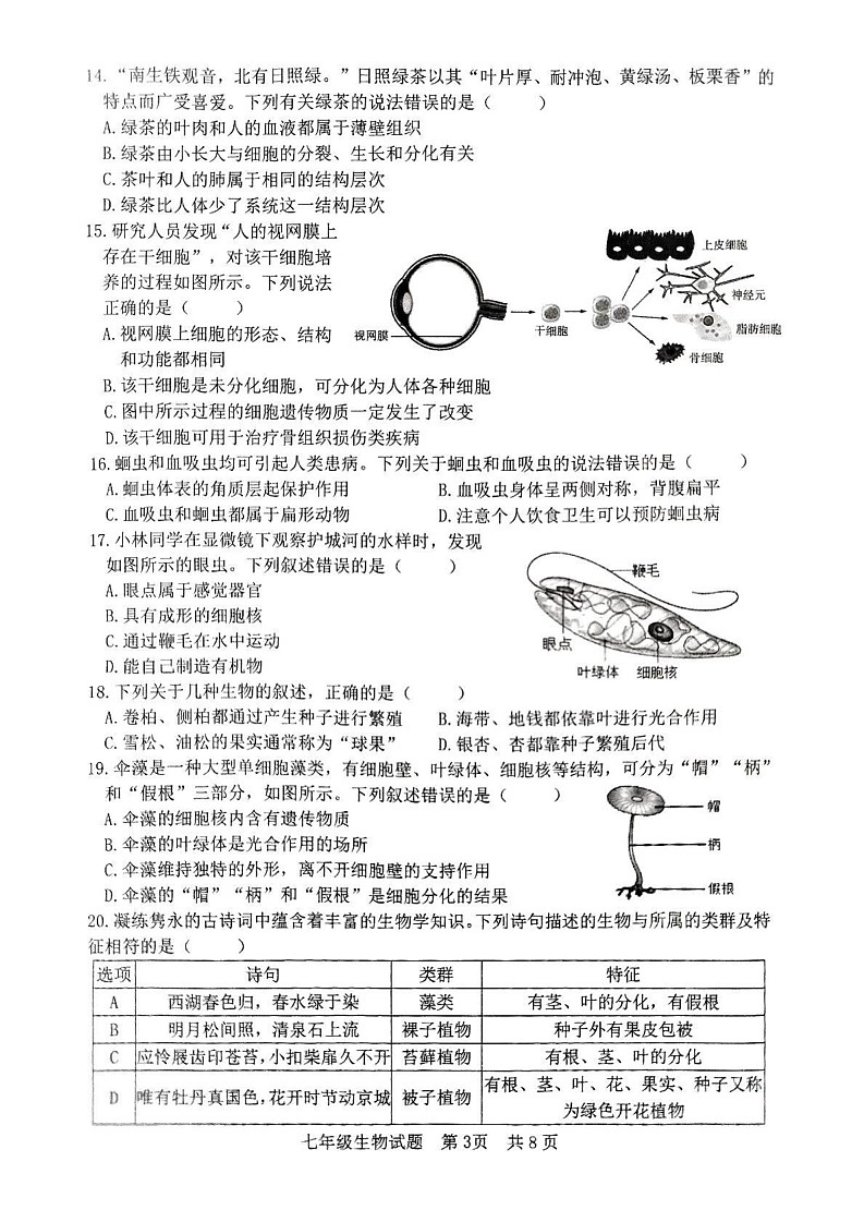 山东省日照市东港区2024-2025学年七年级上学期1月期末生物试题第3页