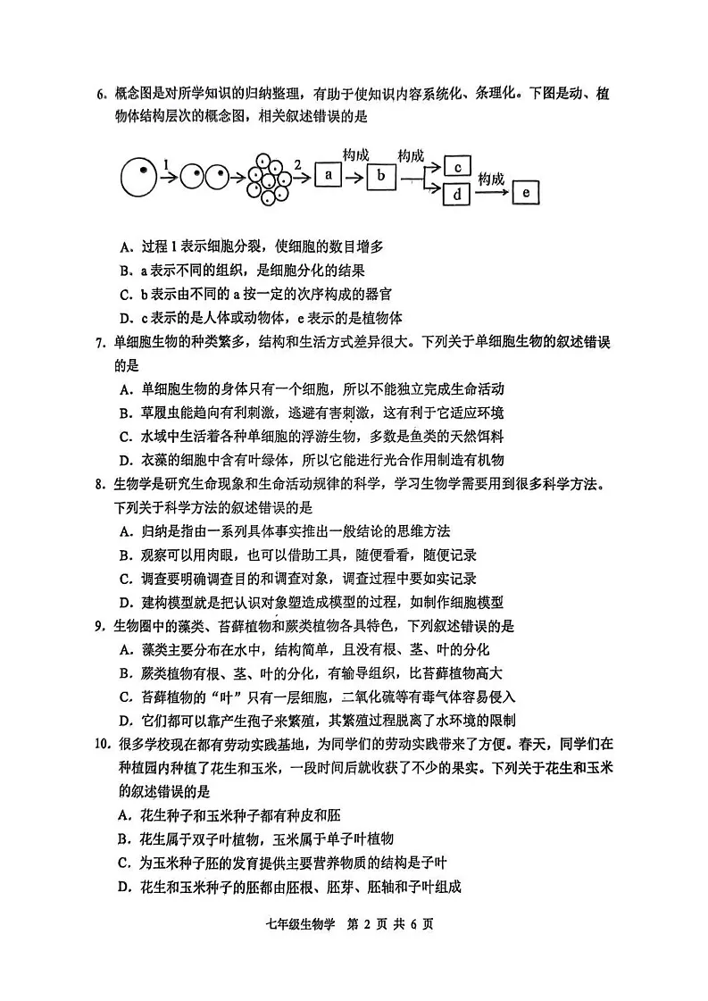 四川省宜宾市2024--2025学年七年级上学期生物期末试卷第2页